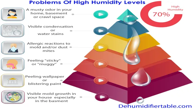 how to reduce humidity in house in florida