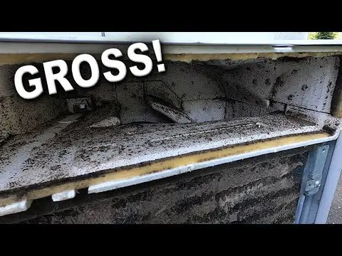 How to Clean Mold Inside Window Air Conditioner