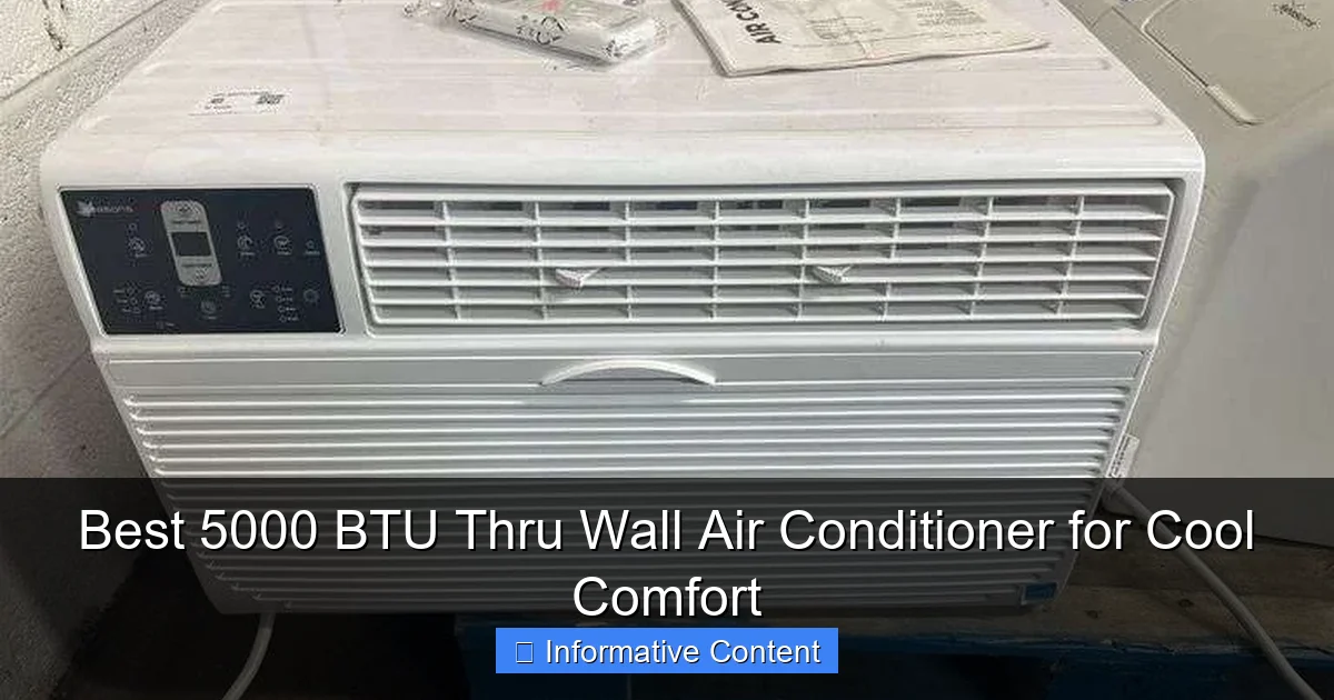 Best 5000 BTU Thru Wall Air Conditioner for Cool Comfort