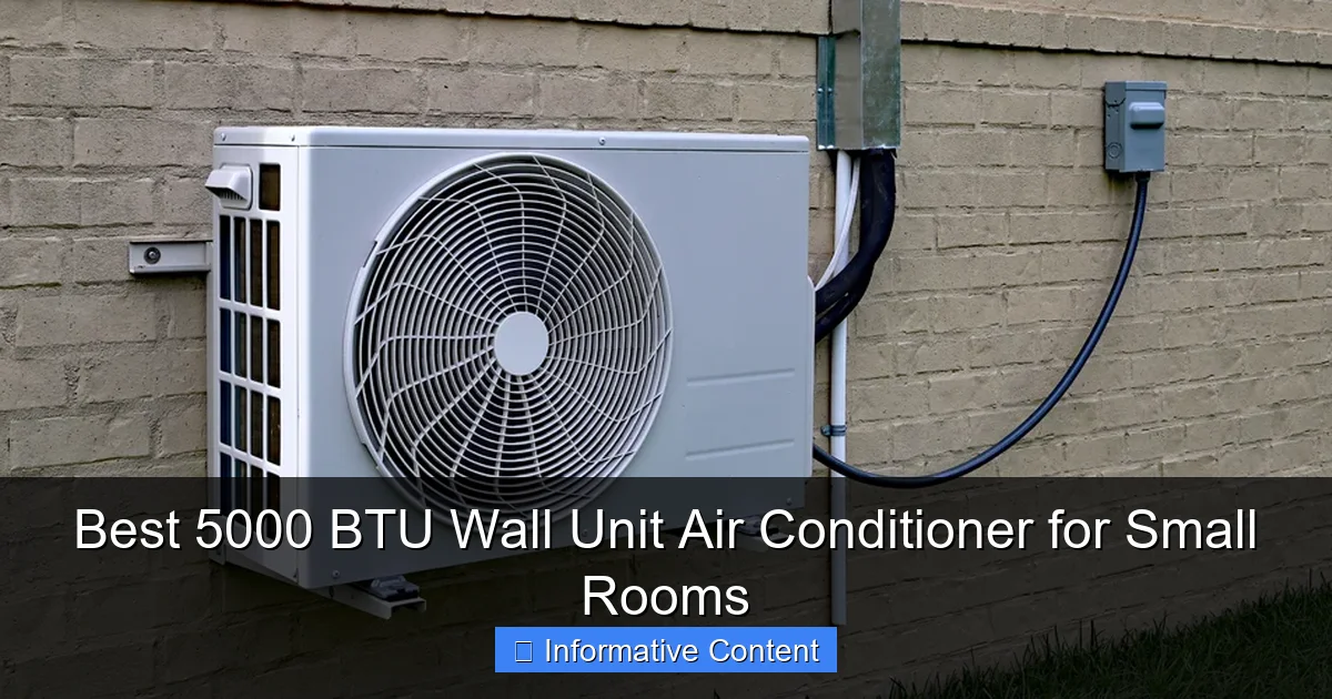 Best 5000 BTU Wall Unit Air Conditioner for Small Rooms