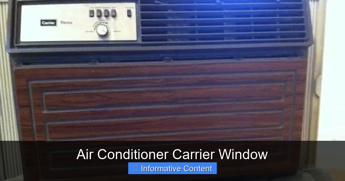 Air Conditioner Carrier Window