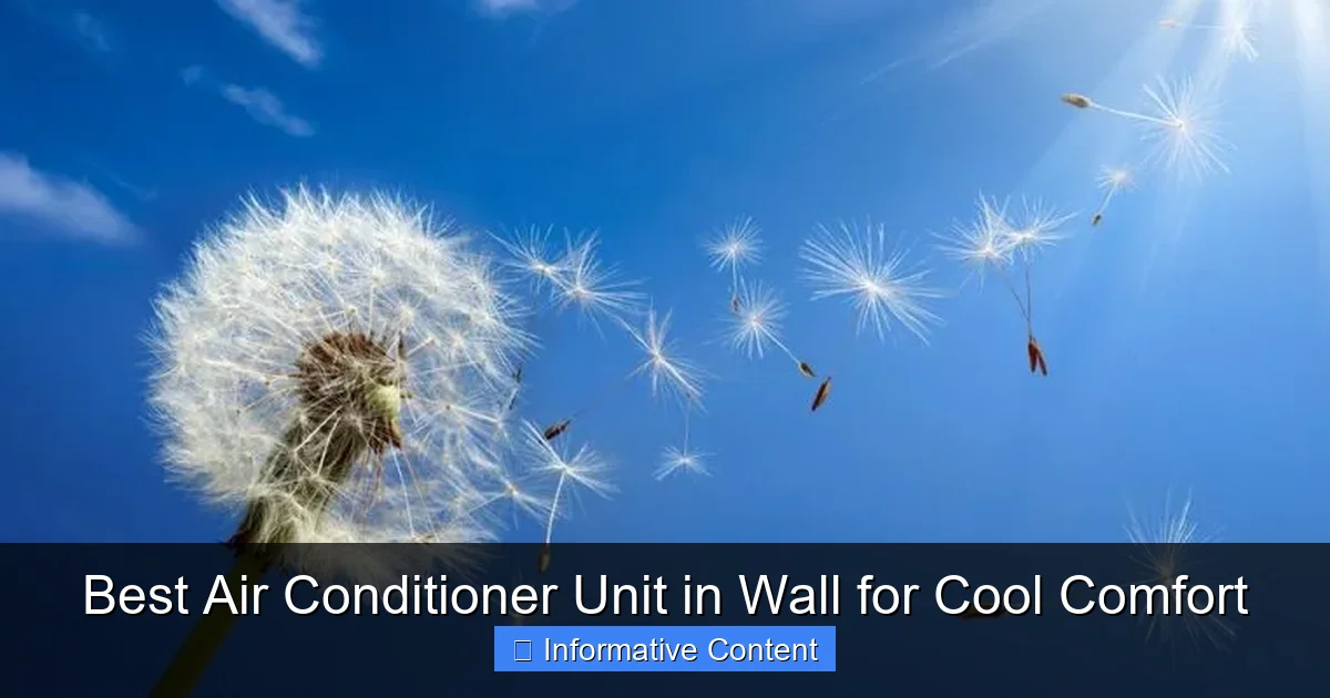 Best Air Conditioner Unit in Wall for Cool Comfort