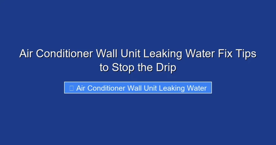 Air Conditioner Wall Unit Leaking Water Fix Tips to Stop the Drip