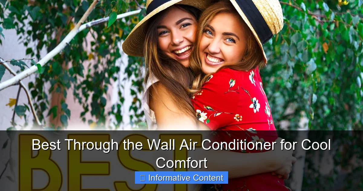 Best Through the Wall Air Conditioner for Cool Comfort