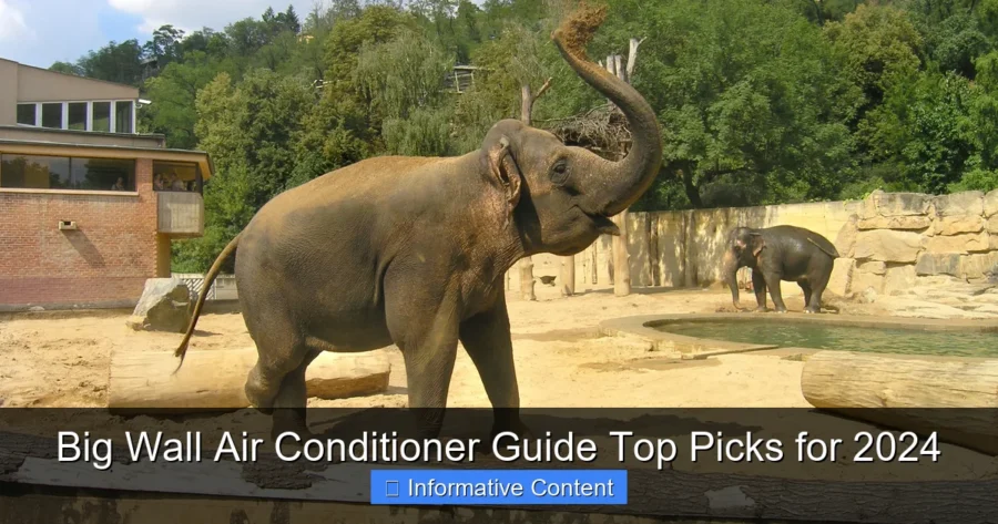 Big Wall Air Conditioner Guide Top Picks for 2024