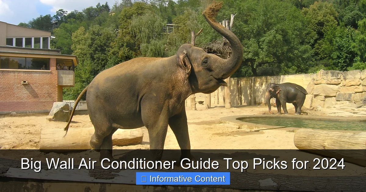 Big Wall Air Conditioner Guide Top Picks for 2024