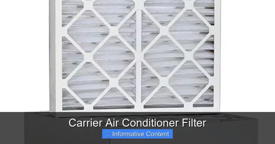 Carrier Air Conditioner Filter