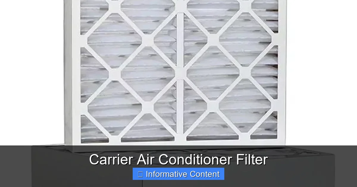 Carrier Air Conditioner Filter