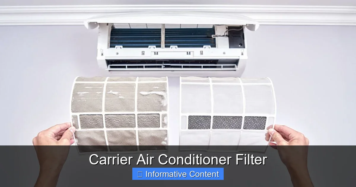 Carrier Air Conditioner Filter