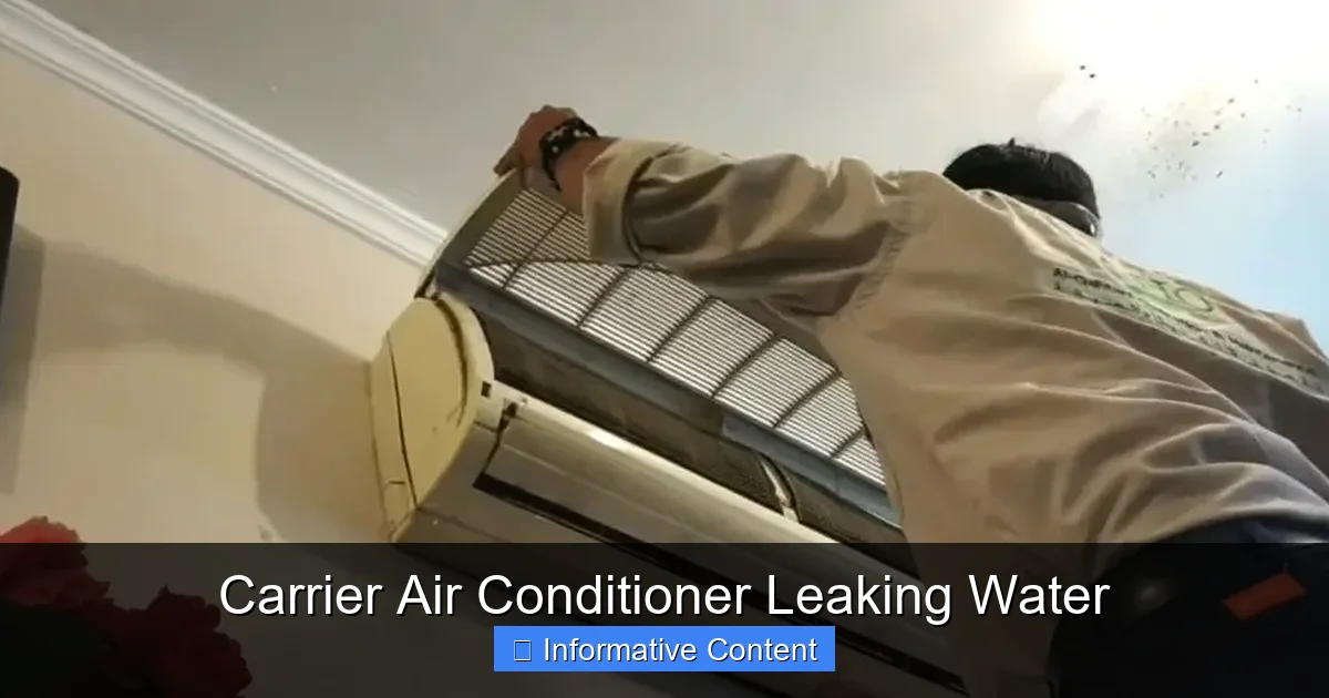 Carrier Air Conditioner Leaking Water