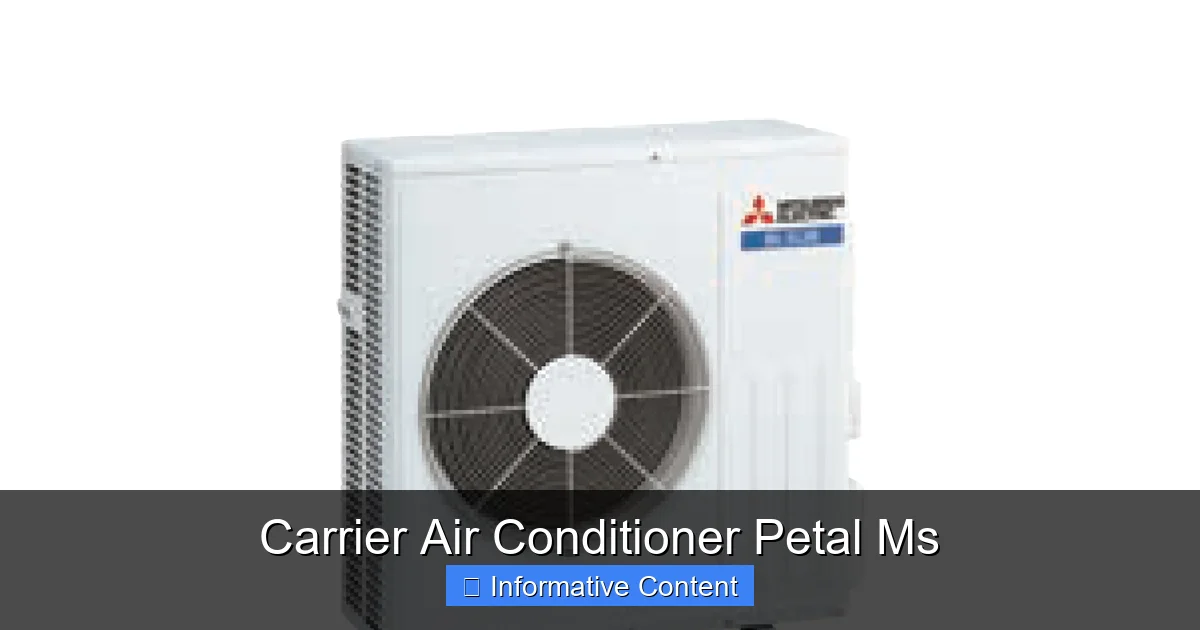 Carrier Air Conditioner Petal Ms