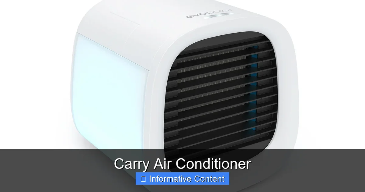 Carry Air Conditioner