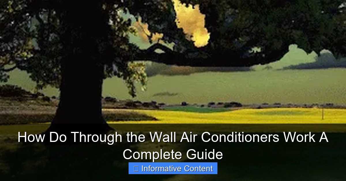 How Do Through the Wall Air Conditioners Work A Complete Guide