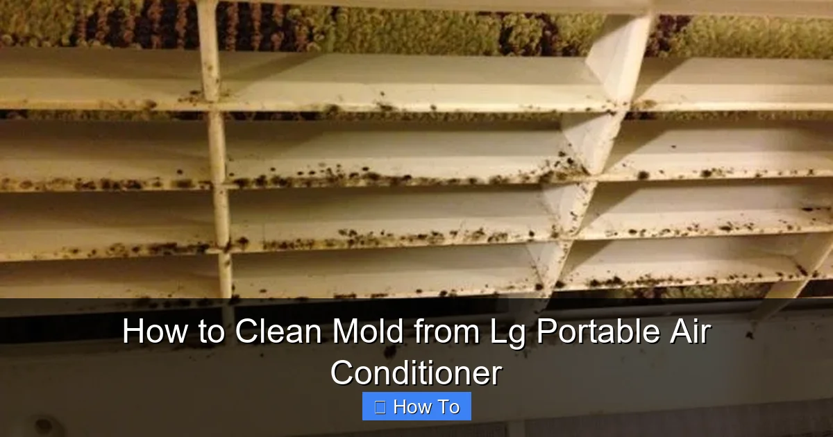How to Clean Mold from Lg Portable Air Conditioner