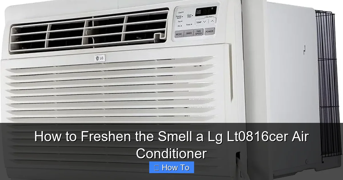 How to Freshen the Smell a Lg Lt0816cer Air Conditioner