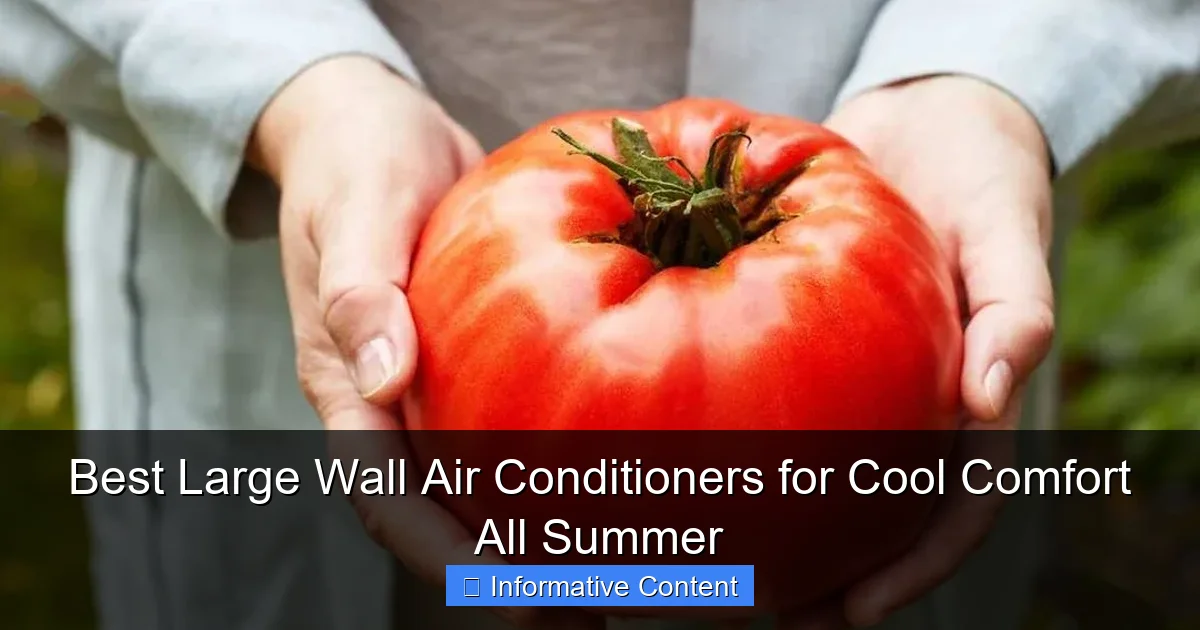 Best Large Wall Air Conditioners for Cool Comfort All Summer
