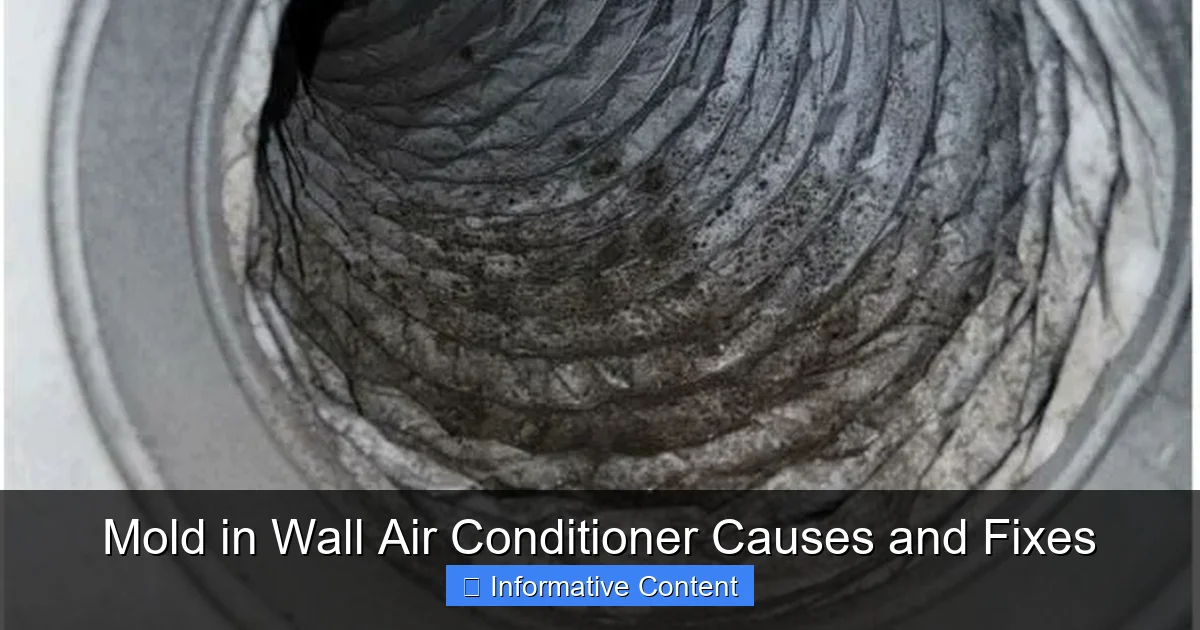 Mold in Wall Air Conditioner Causes and Fixes