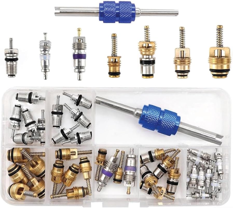 Car A/C Valve Core Kit and Removal Tool for Air Conditioning Repair