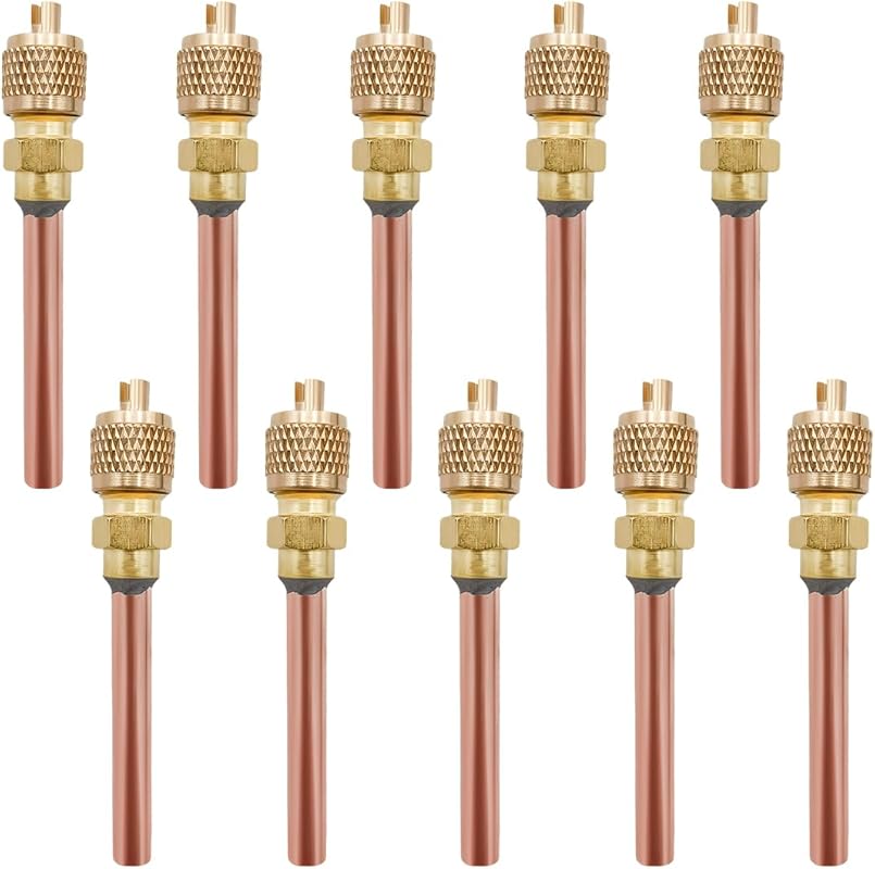10 PCS Service Access Valve, 1/4
