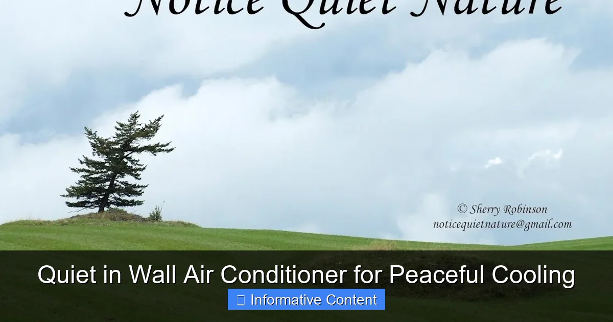 Quiet in Wall Air Conditioner for Peaceful Cooling
