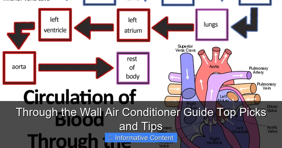 Through the Wall Air Conditioner Guide Top Picks and Tips