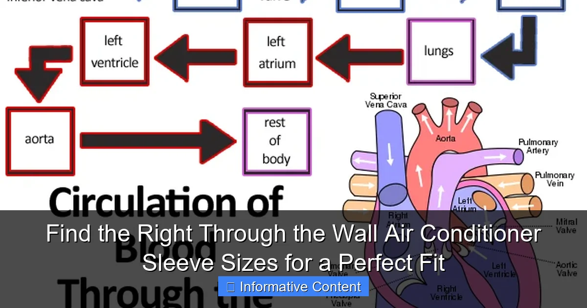 Find the Right Through the Wall Air Conditioner Sleeve Sizes for a Perfect Fit