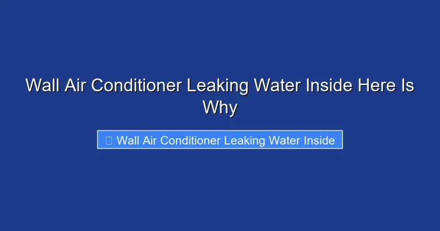 Wall Air Conditioner Leaking Water Inside Here Is Why