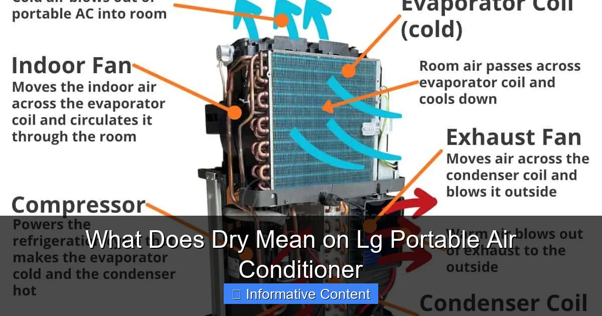 What Does Dry Mean on Lg Portable Air Conditioner