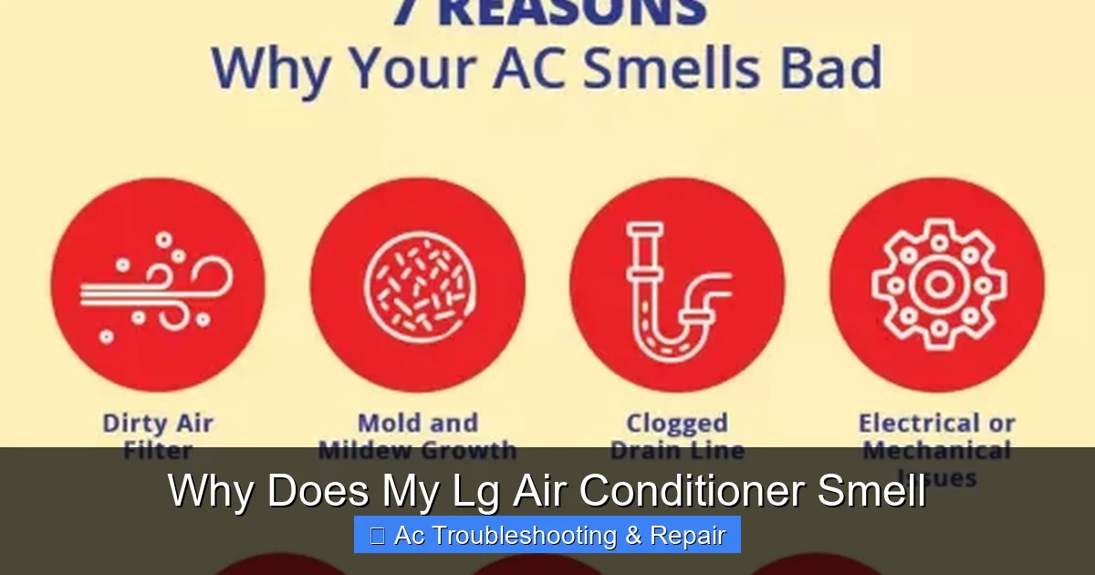 Why Does My Lg Air Conditioner Smell
