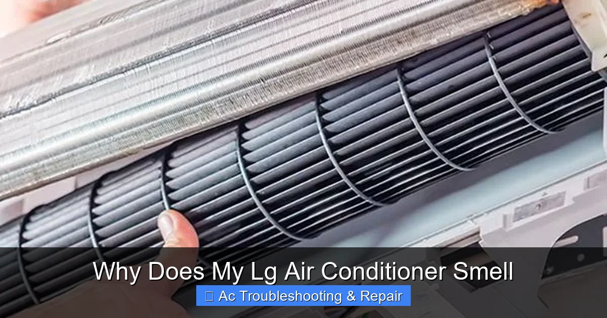 Why Does My Lg Air Conditioner Smell