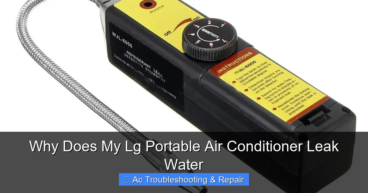 Why Does My Lg Portable Air Conditioner Leak Water