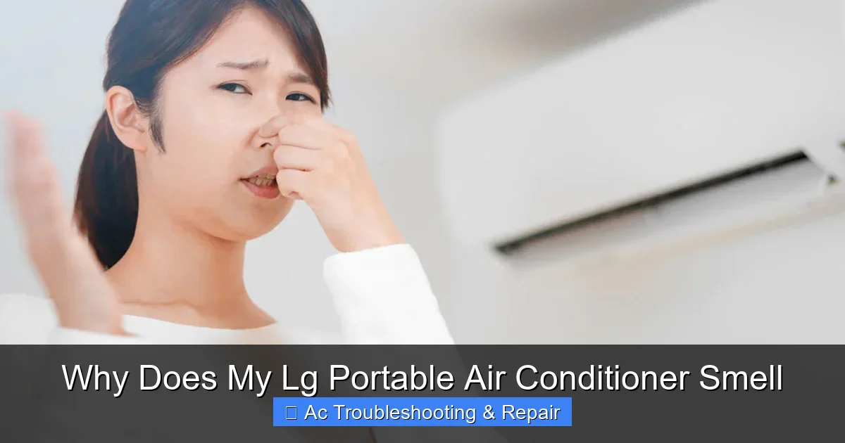 Why Does My Lg Portable Air Conditioner Smell