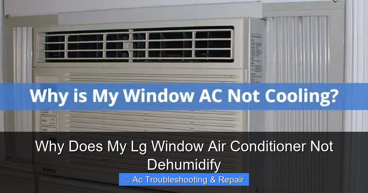 Why Does My Lg Window Air Conditioner Not Dehumidify
