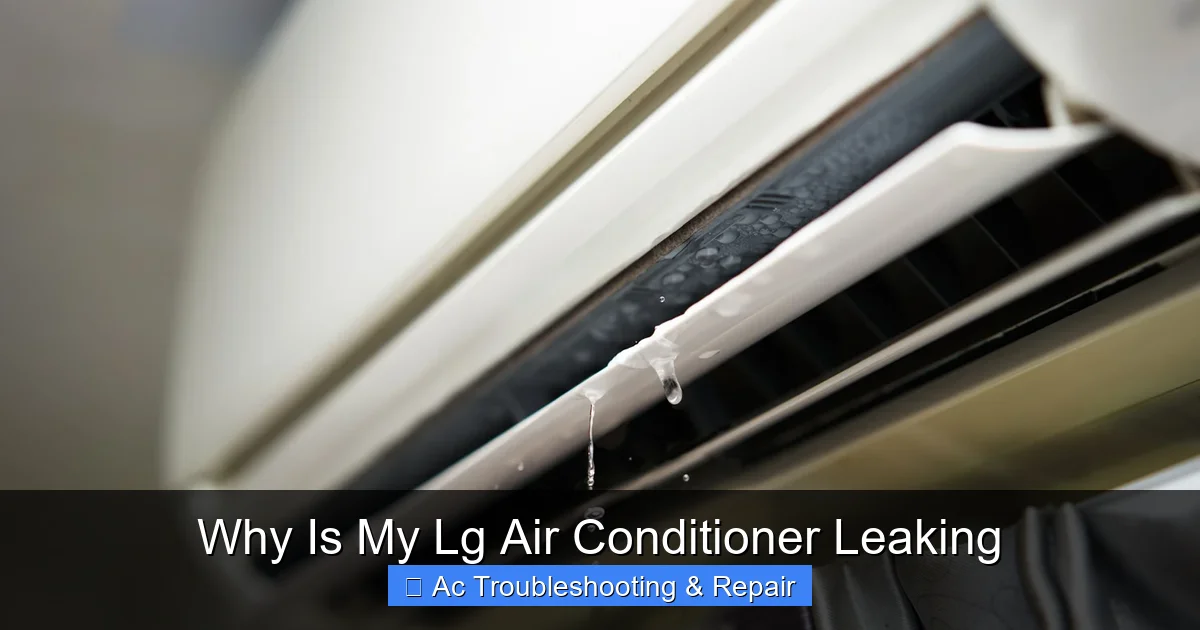 Why Is My Lg Air Conditioner Leaking