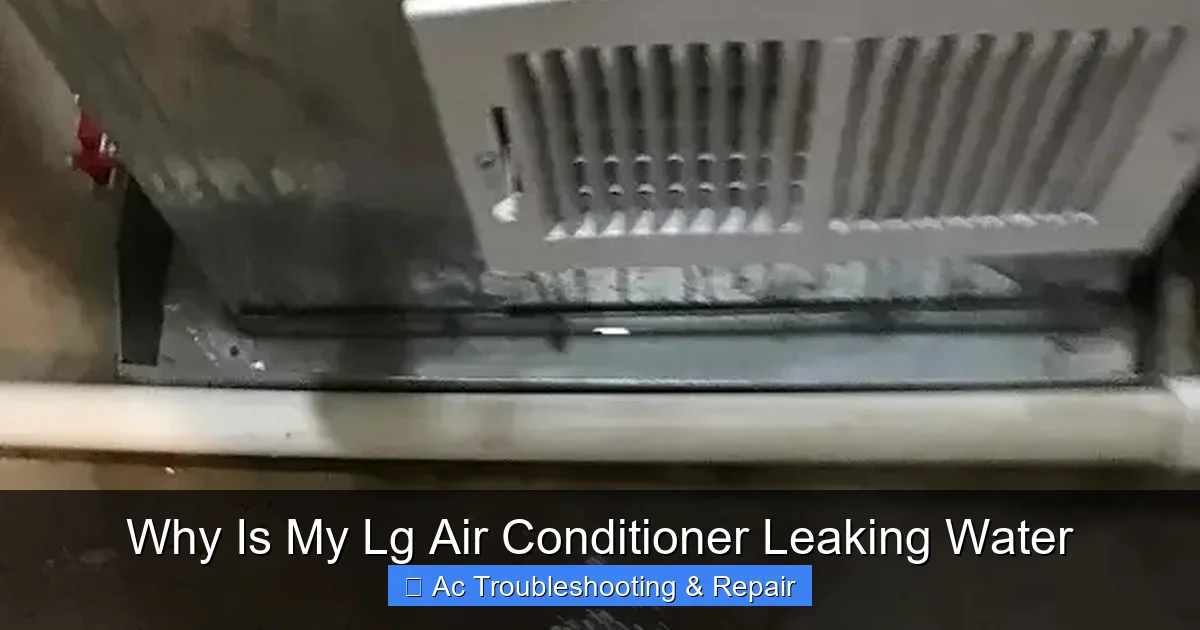 Why Is My Lg Air Conditioner Leaking Water