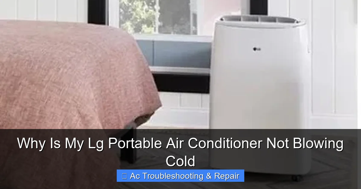 Why Is My Lg Portable Air Conditioner Not Blowing Cold