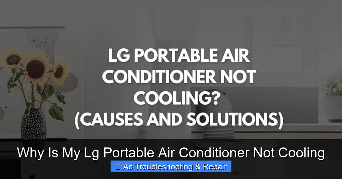 Why Is My Lg Portable Air Conditioner Not Cooling