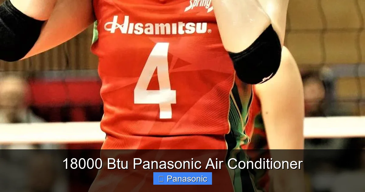 18000 Btu Panasonic Air Conditioner