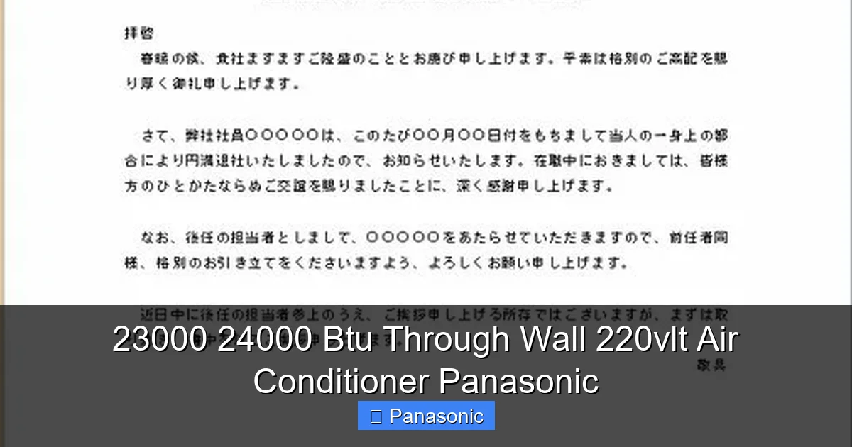 23000 24000 Btu Through Wall 220vlt Air Conditioner Panasonic