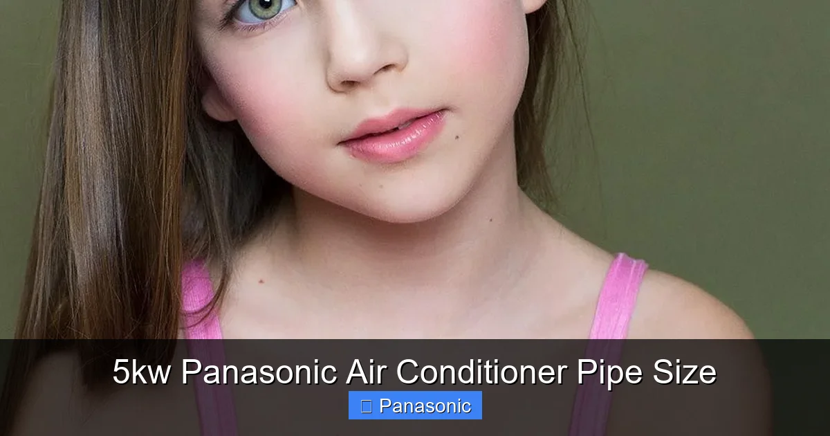 5kw Panasonic Air Conditioner Pipe Size