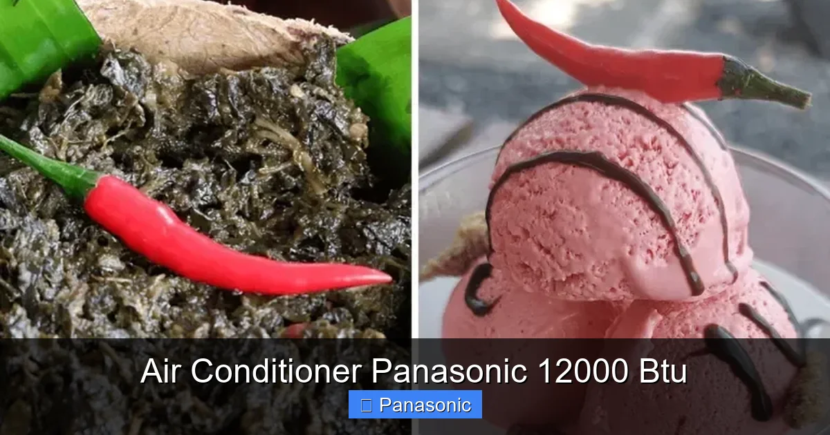 Air Conditioner Panasonic 12000 Btu