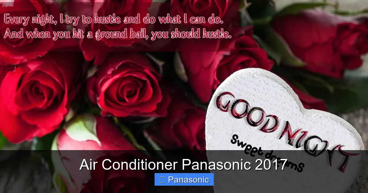 Air Conditioner Panasonic 2017