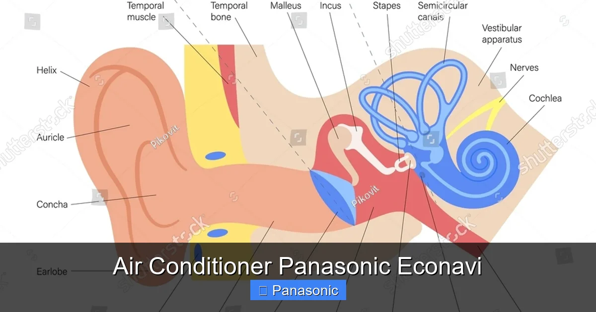 Air Conditioner Panasonic Econavi