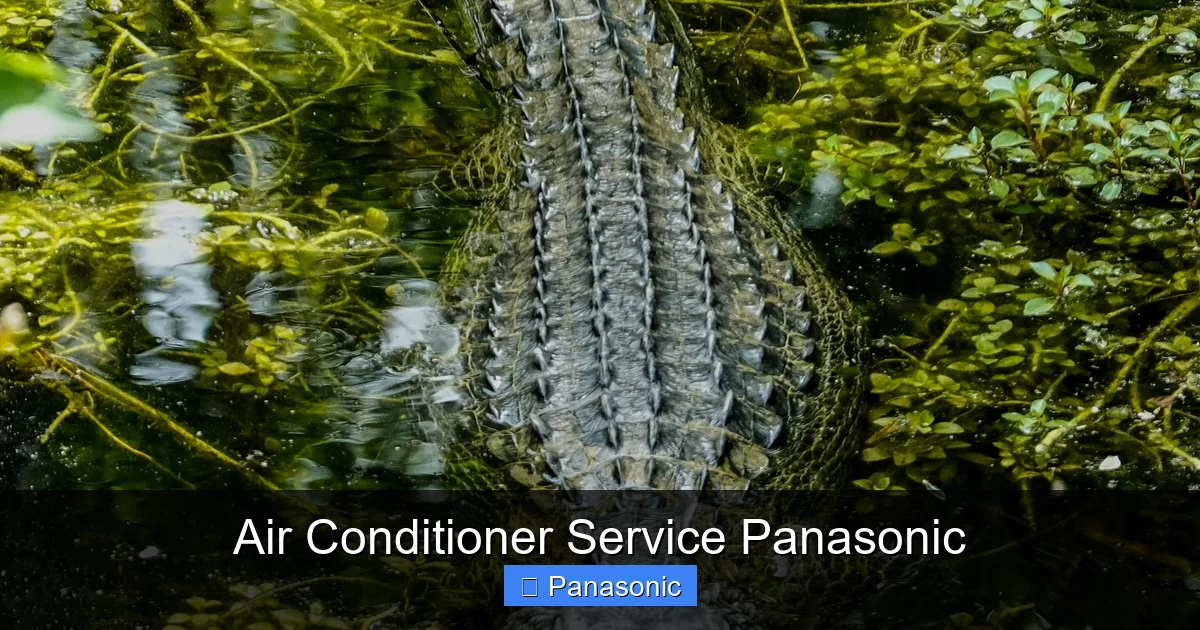 Air Conditioner Service Panasonic