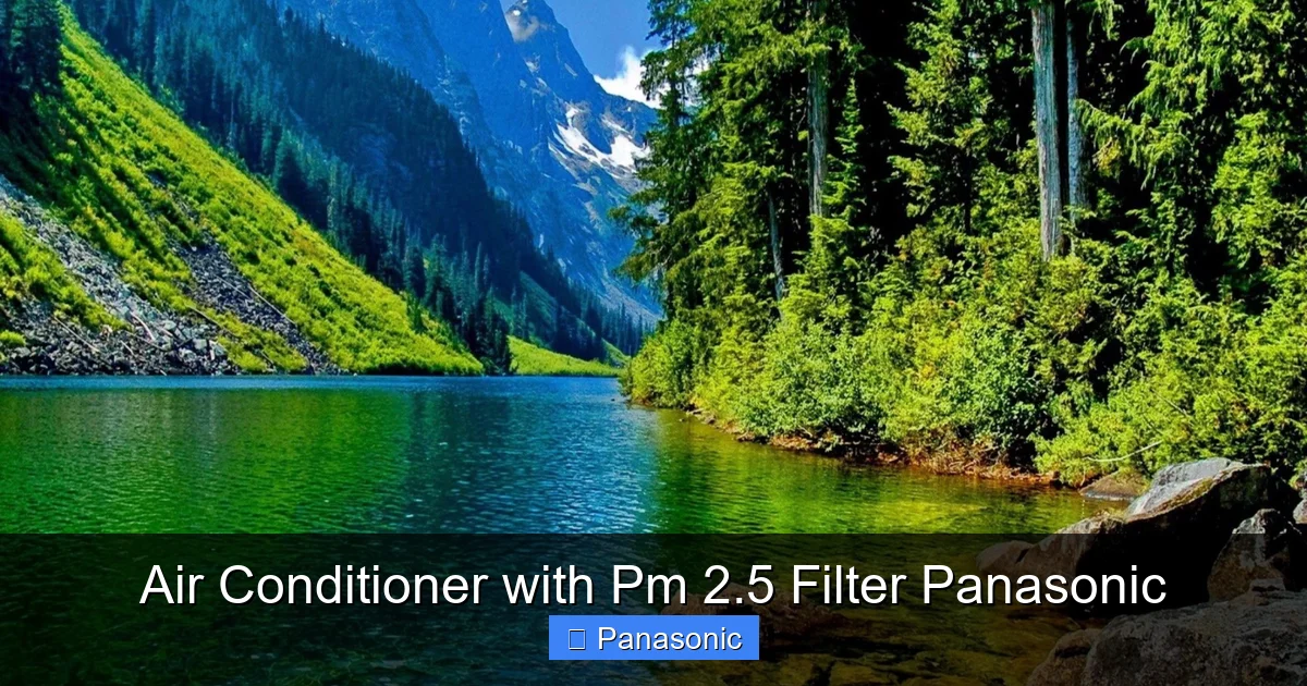 Air Conditioner with Pm 2.5 Filter Panasonic