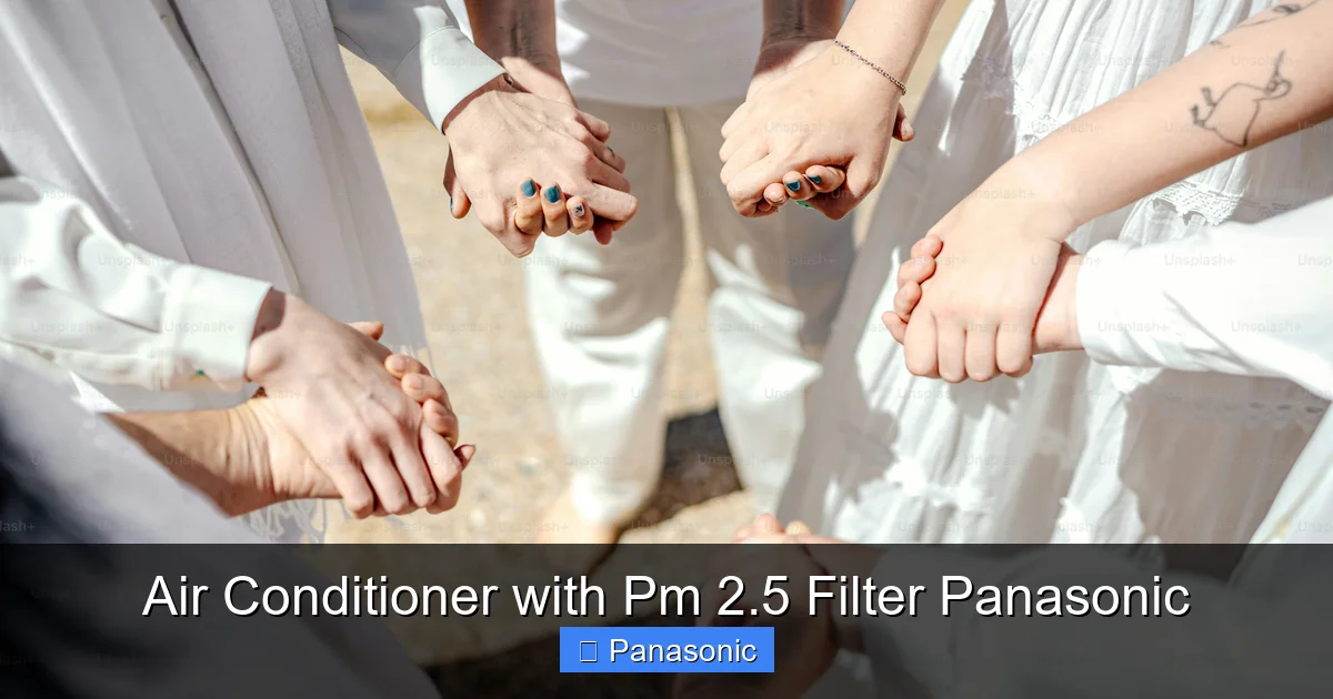 Air Conditioner with Pm 2.5 Filter Panasonic