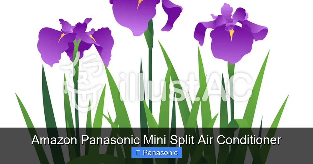 Amazon Panasonic Mini Split Air Conditioner