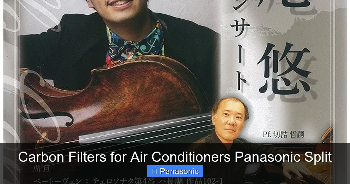 Carbon Filters for Air Conditioners Panasonic Split