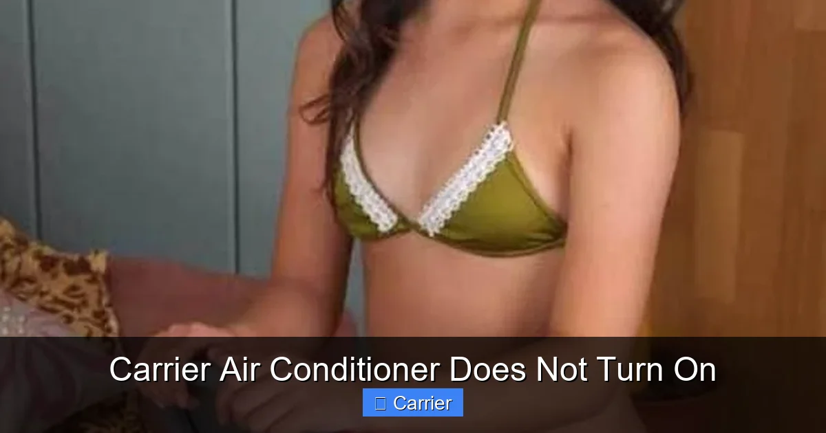 Carrier Air Conditioner Does Not Turn On