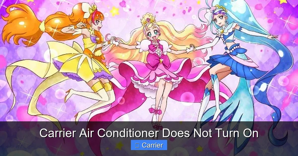 Carrier Air Conditioner Does Not Turn On